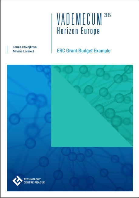 ERC Grant Budget Example