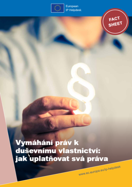 Vymáhání práv k duševnímu vlastnictví:  jak uplatňovat svá práva