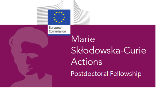 Čtyři výzvy MSCA PF: Pozice ČR mezi evropskými státy