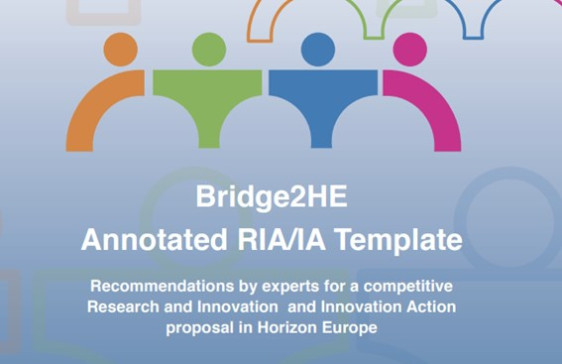 Annotated template for IA & RIA