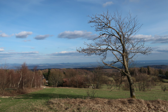 National information day - Horizon Europe - Life sciences