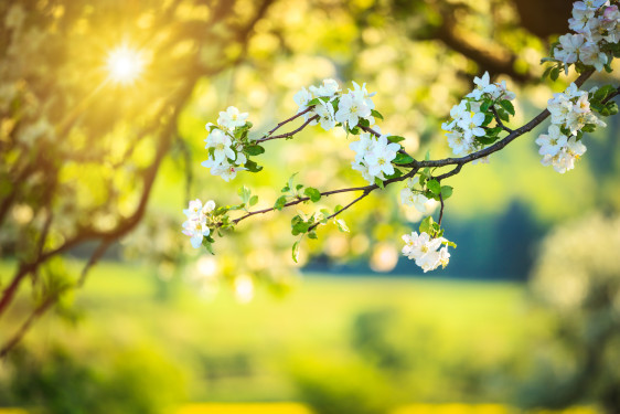 Pozvánka na jarní workshopy JAK NA HORIZONT EVROPA