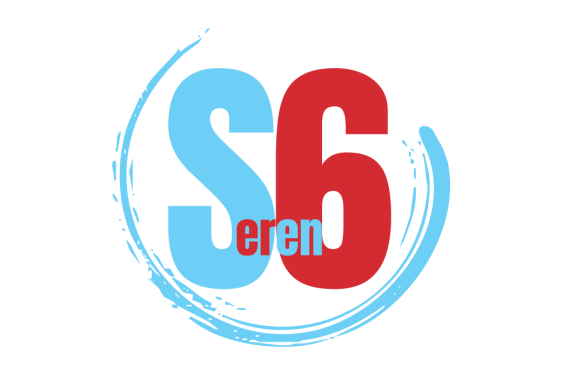 SEREN6 - Full Proposal Check