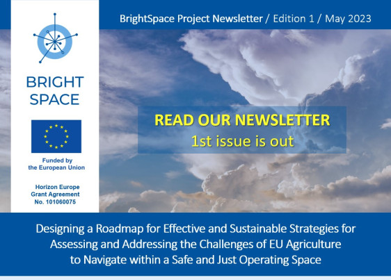 Newsletter projektu BrightSpace