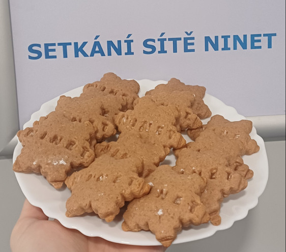 Vedoucí projektových oddělení, NCP, MŠMT, CZELO a SZ ČR při EU sdíleli strategické novinky v HE, vývoj FP10 a diskutovali o využívání AI